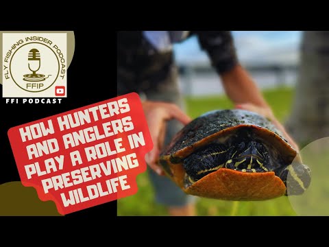 How Hunters and Anglers Play a Role in Preserving Wildlife - episode thumbnail