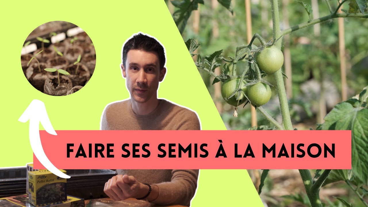 Comment partir facilement vos semis à la maison 🌱👌 - YouTube
