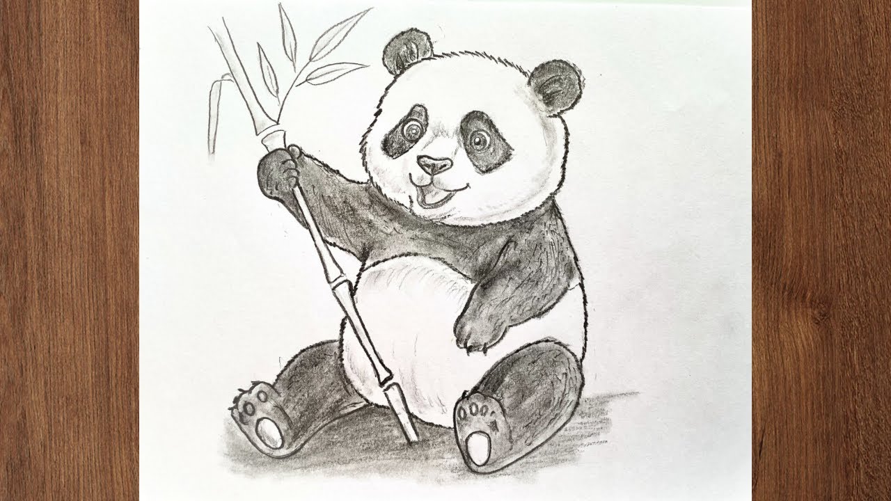 How to draw cute Panda with Bamboo Stick || Easy Pencil Sketch fo Beginners 