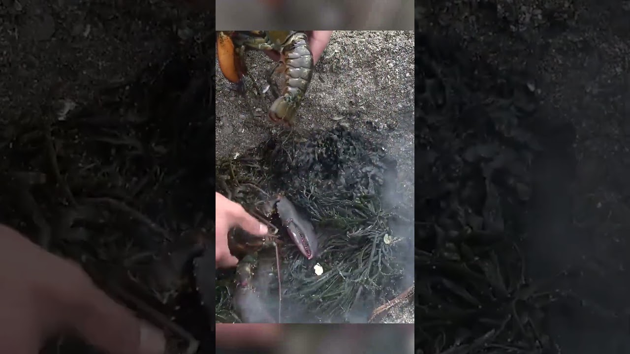 Impress your friends with this beach survival cooking technique.