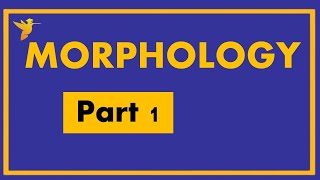 Morphology S4 English Studies Linguistics| University Bachelor Degree Online