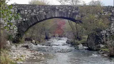 Faire un pont de Dick Rivers en français par Alain .avi