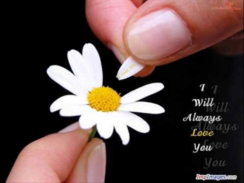 მიყვარხარ სიცოცხლეზე მეტად.wmv