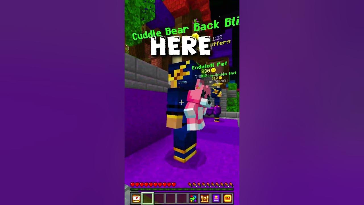 THEY DONT WANT YOU TO KNOW THIS bedwars minecraft dream hivegames