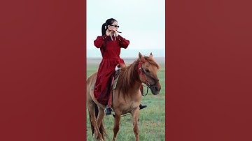 Thumbnail of 竇唯 Dou Wei【噢！乖 Be good, boy】dizi on horseback#dizi #music #flute