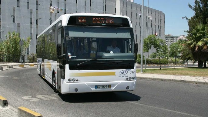 Transportes Colectivos do Barreiro renovam frota e apostam em futuro verde