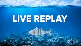 LIVE REPLAY | Introducing the C4carbon Range