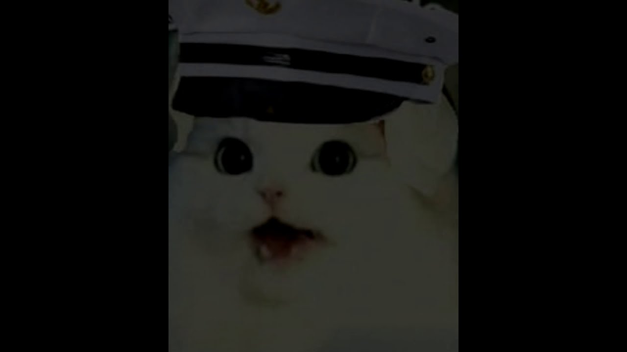 Take Me Home, Country Roads - polish cover