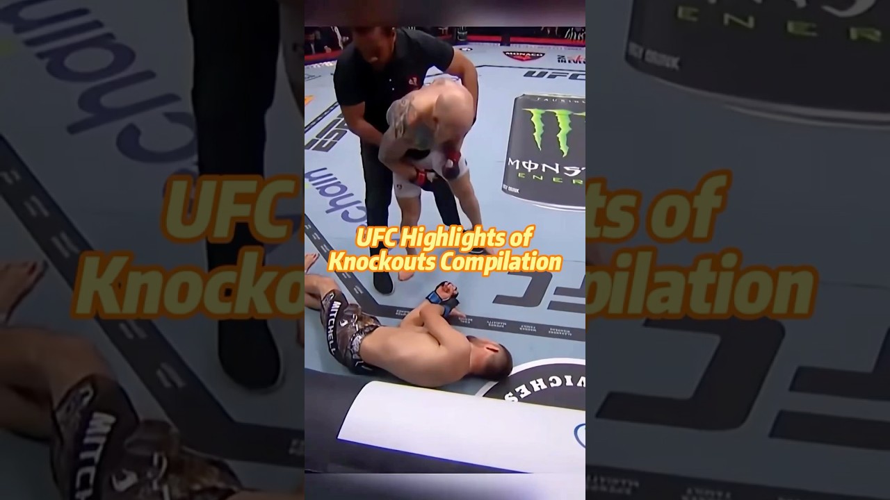 UFC Highlights of Knockouts Assortment#youtubeshorts #foryou #ufc #knockout #fyp