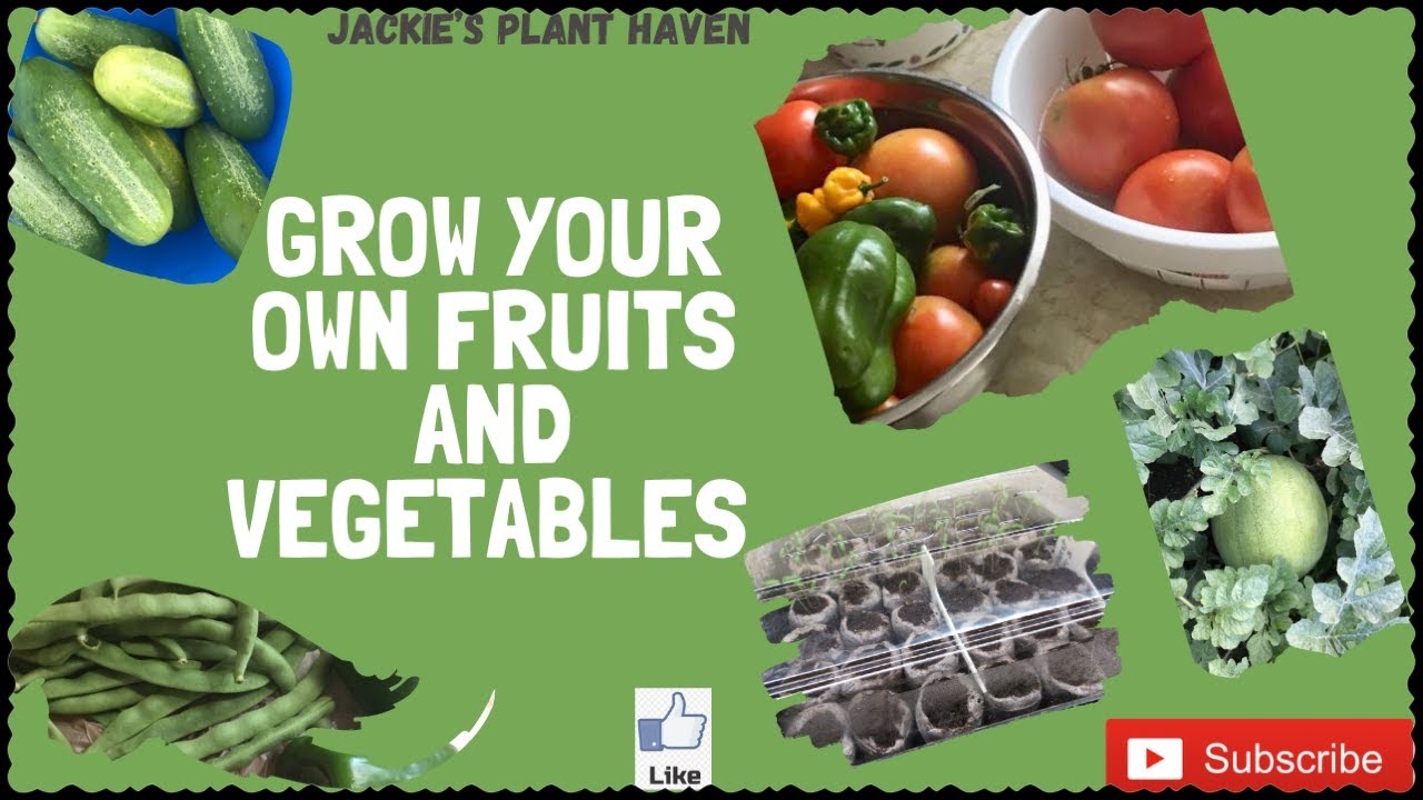 Fruits and Vegetables YouTube