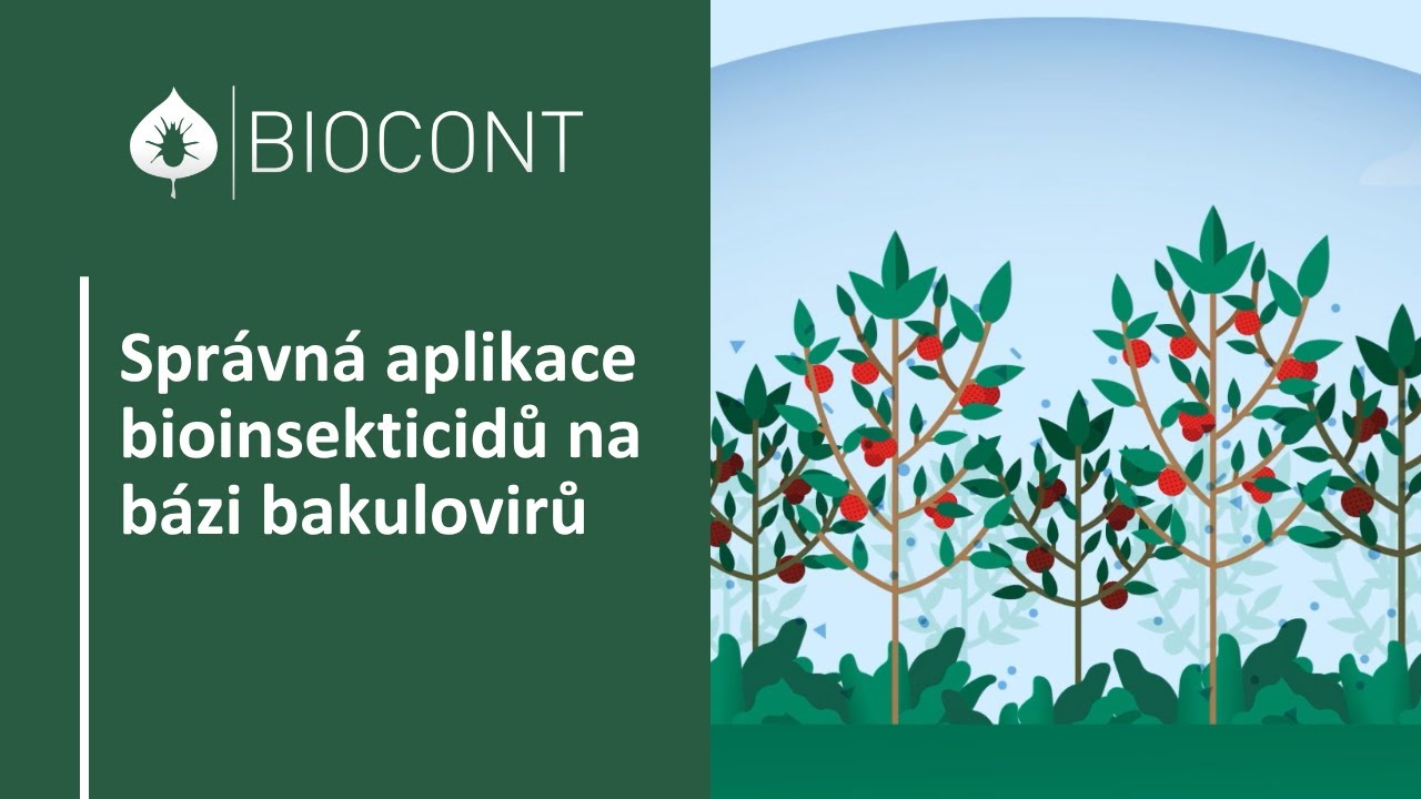 Správná aplikace bioinsekticidů na bázi bakulovirů – praktické tipy pro sadaře