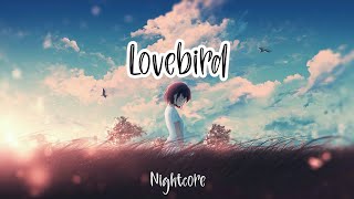 Nightcore - lovebird | lyrics