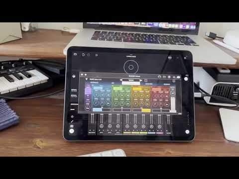 Using BLEASS VOICES and MIDI Guitar 2 for real time harmonies (no pre set scale)