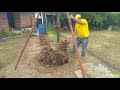 Amazing Stump pulling machine, There Are Many Ways To Remove Stump In Your Garden