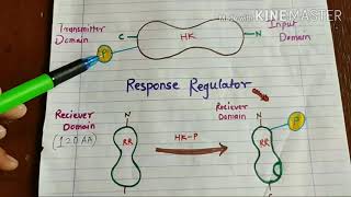 Two-Component Signaling Systems