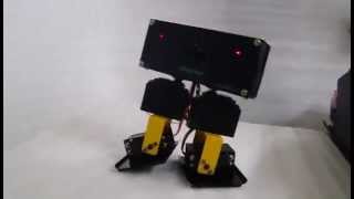 Edubotix - 4 Servo waking biped robot - Edubotix  Walkie