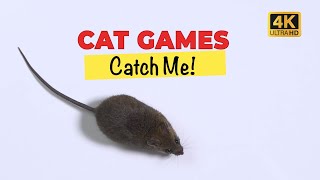 CATS TV - Catching REAL Mouse 🐭 4K - 3 HOURS (Game for cats to watch) screenshot 5