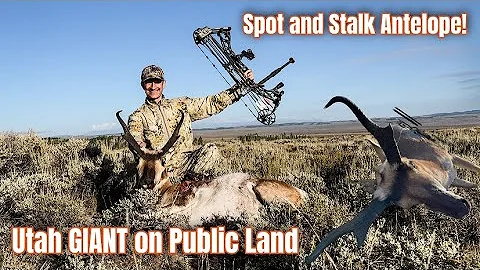 Archery Antelope SPOT AND STALK | Utah Public Land GIANT.