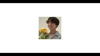 bts - dimple (sped up)