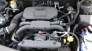 IMG 8886