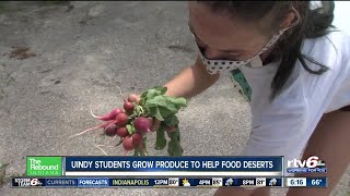 The Rebound Indiana: UIndy students bring fresh produce to those in need