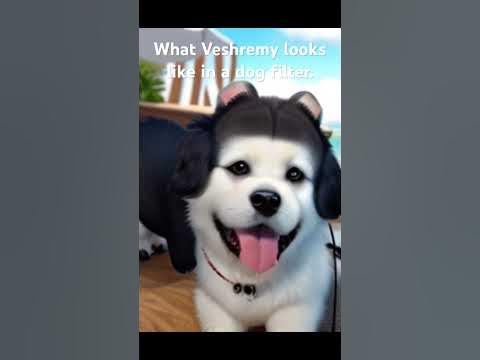 @Veshremy in a dog filter. #edit #filter #trending - YouTube