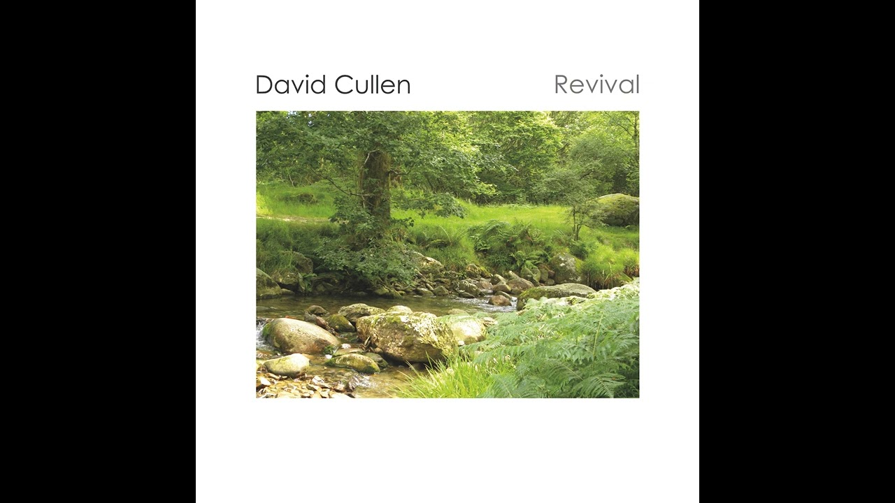 David Cullen Looking Up auf YouTube ansehen David Cullen Looking Up auf YouTube ansehen