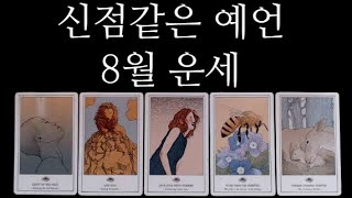 [타로카드]드.디.어! 8월운세후기보장일어나고있는일,일어날일 정확히 예언해드릴게요.