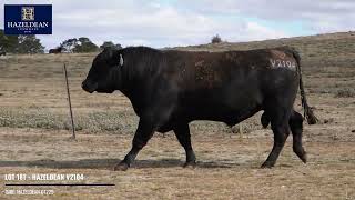 LOT 181   HAZELDEAN V2104
