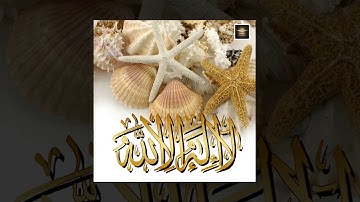 تلاوة خاشعة سورة الروم - امام الحرم النبوي الشيخ عبدالمحسن القاسم www.qoranet.net
