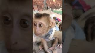 Love Big family one and playing here the daily life #shorts,#baby