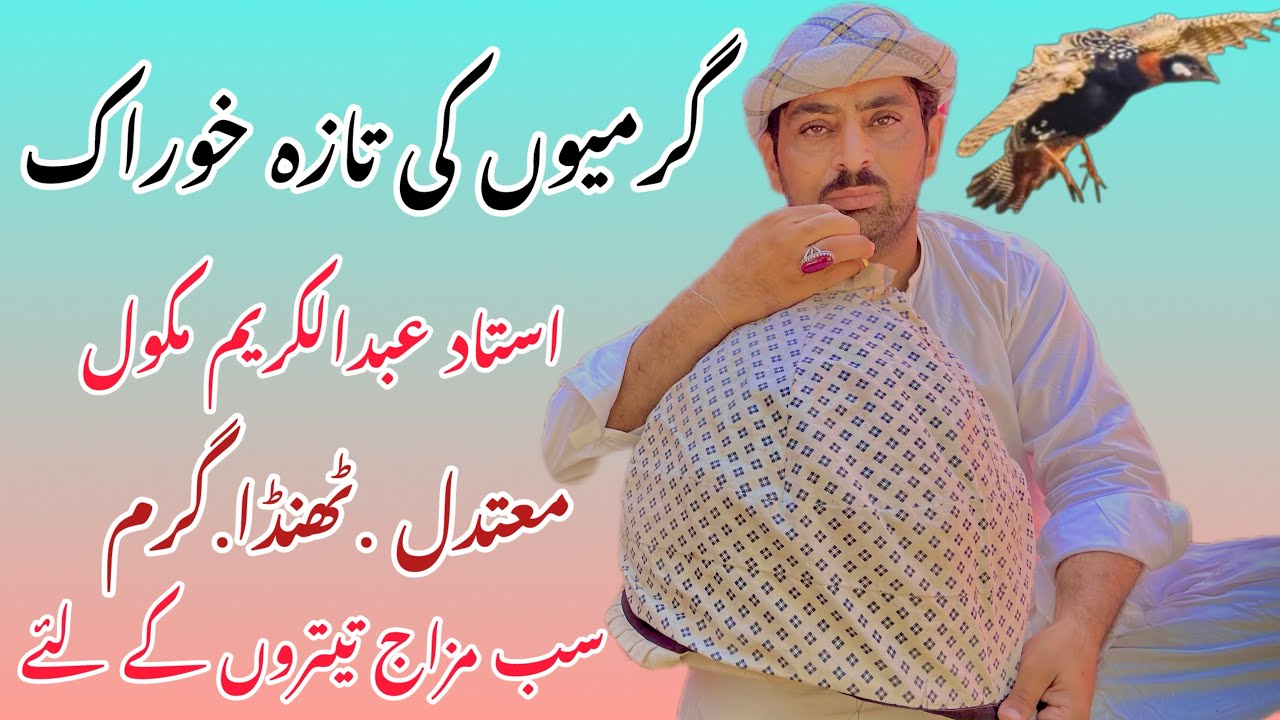 Tetar Ko Garmiyon Mein Kon Si Khurak Dain || Khurak Keasey Dain || Kala Tetar Ki Khurak