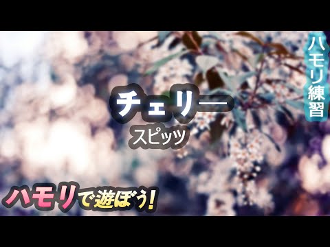 スピッツ - 「チェリー」 | ハモリ練習用 | JPOP はもり練習 | Spitz - cherry