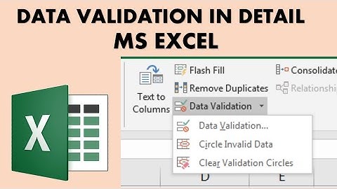 #12 MS Excel for Beginners | Data Validation | Excel Basics | Urdu/Hindi