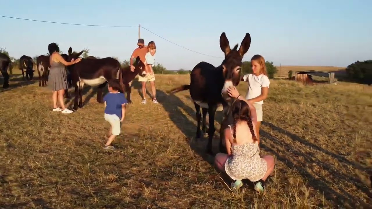 Safari avec les ânesses du Hitton