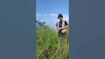 Eksplorasi Tanaman Langka