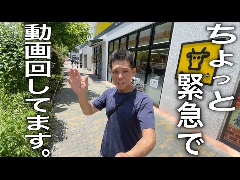 近所に『肉のハナマサ』が出来たので、買い物して【グルメバーガー】つくって食べてみたよ🩷