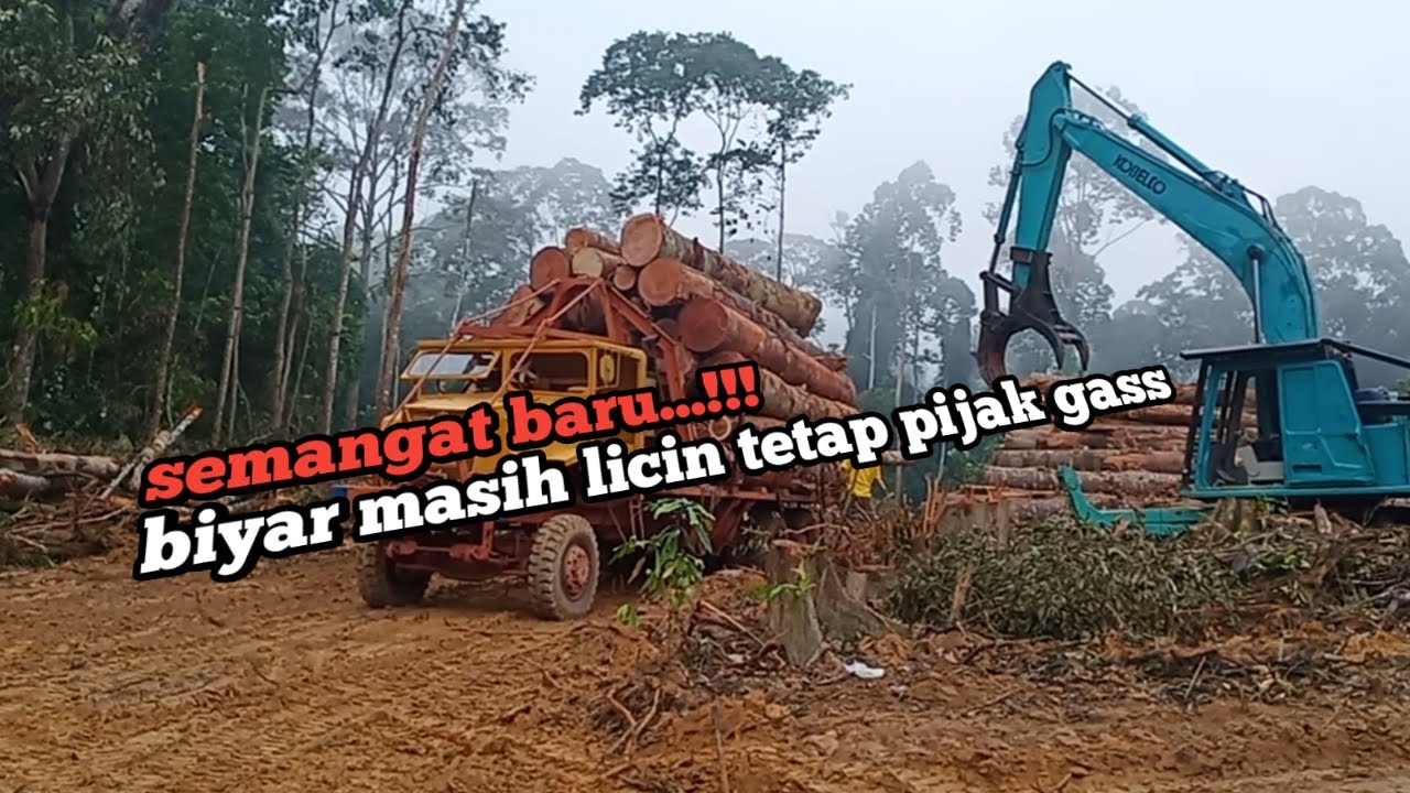 truk santaiwong muat kayu  balak  atau loging YouTube