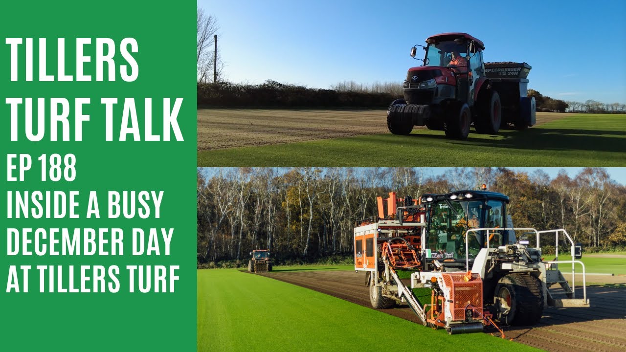 Оживленный декабрь в Tillers Turf | Turf Talk, выпуск 188