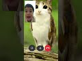 Why Do Keep Calling me?