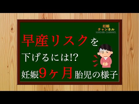[9 Months Pregnant] Reduce the risk of premature birth💪✨Fetus condition at 9 months pregnant