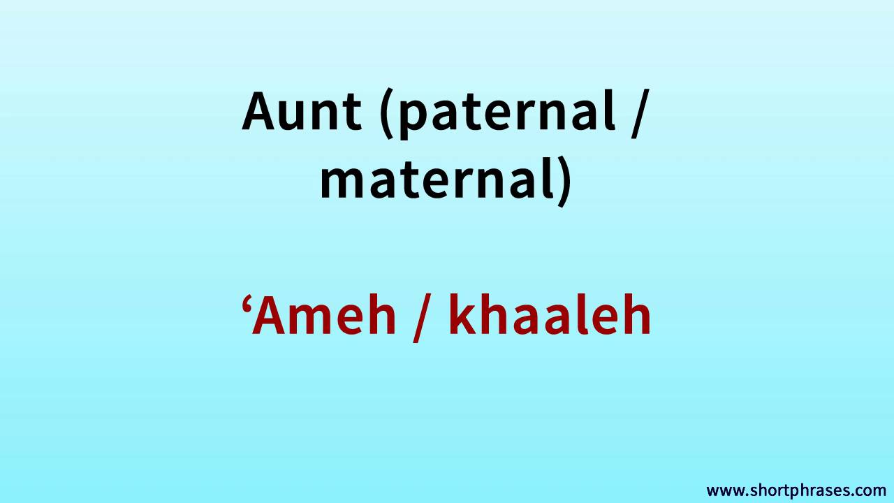 Learn Lebanese Arabic 500 Phrases say ''Aunt paternal Maternal'' YouTube