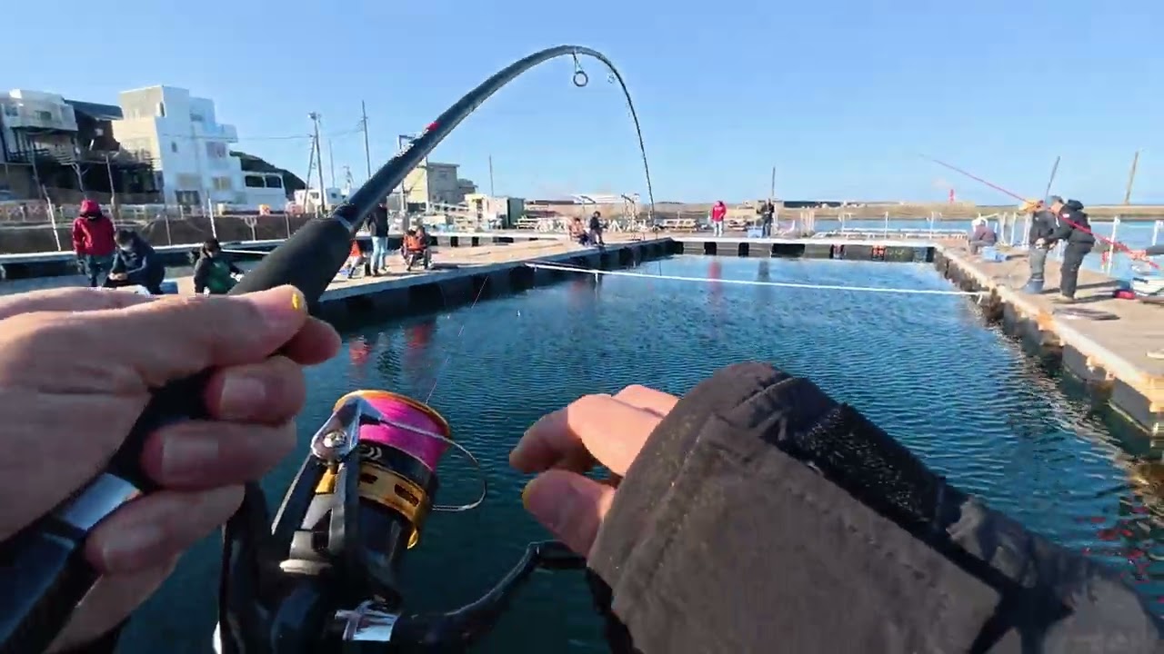 海上釣堀】2025/12/1 (J's Fishing 城ヶ島海上イケス釣堀 ) - YouTube