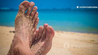 Andaman Unveiled  Beaches, History & Under Water Magic