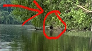 Virginia Fisherman Captures Bigfoot Sasquatch On Film!