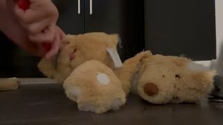 Ripping Destroying And Stomping A Stuffed Mouse