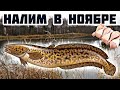 Секреты старого рыболова по ловле налива осенью в ноябре по открытой воде! Как ловить налим в ноябре