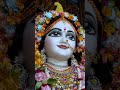 Tino loko se pyaari radha rani hamari #radhakrishna #viralvideo #explore #explorenow #shorts
