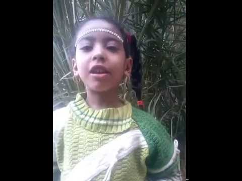 برز الثعلب يوما نورا شاذلي عبد الغني