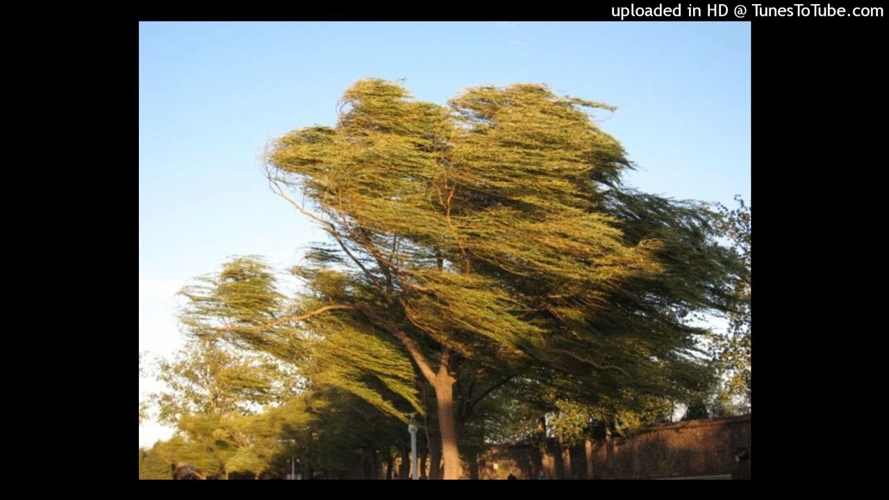 [free] iayze x ambient type beat - 